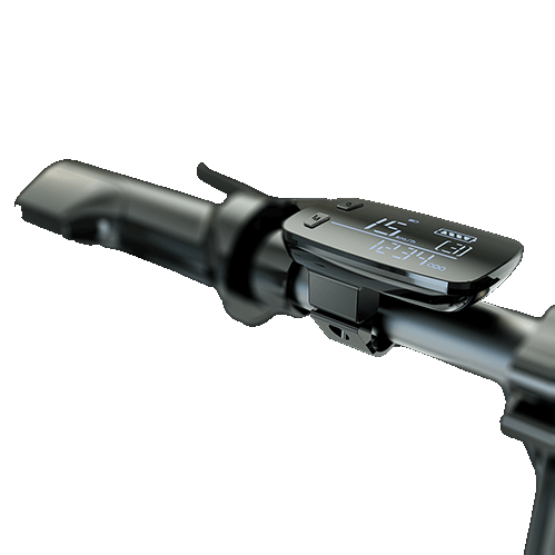 a1.jpg
